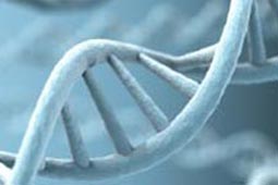 在线短信轰炸测试